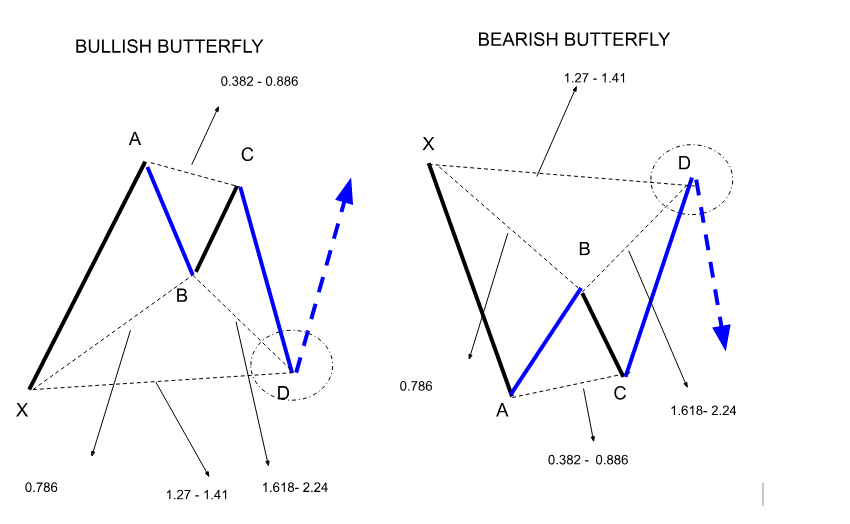 The Butterfly